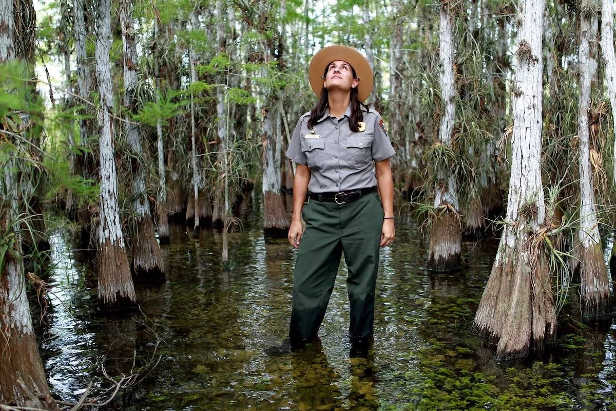 A female ranger stands in the swampy waters of Everglades National Park.