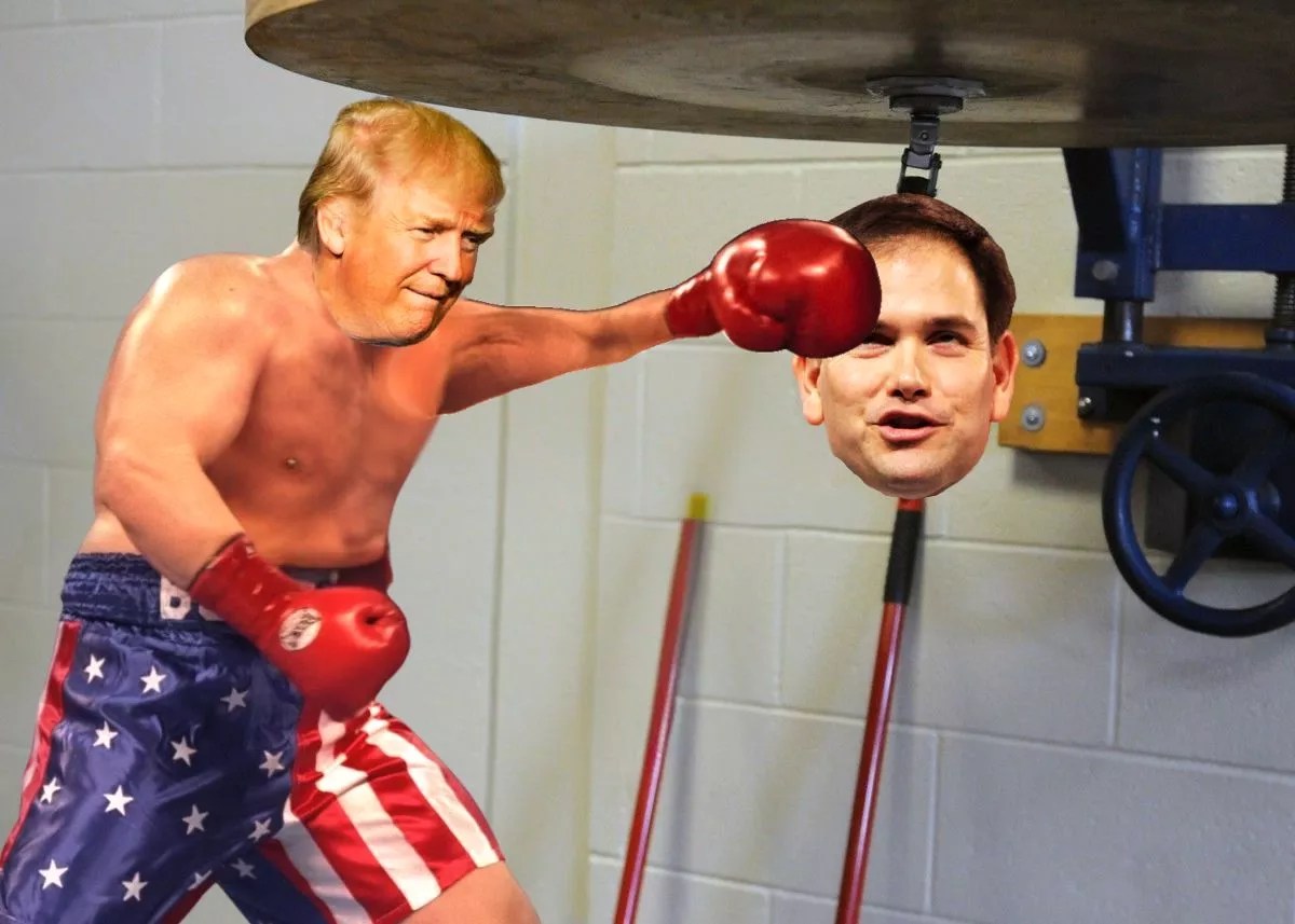 Illustration of Donald Trump as a boxer punching Marco Rubio's face as if it is a speed bag.