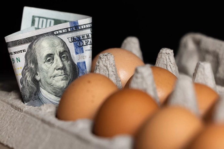 color stock photo of a cardboard carton of brown eggs with a $100 bill tucked into one slot