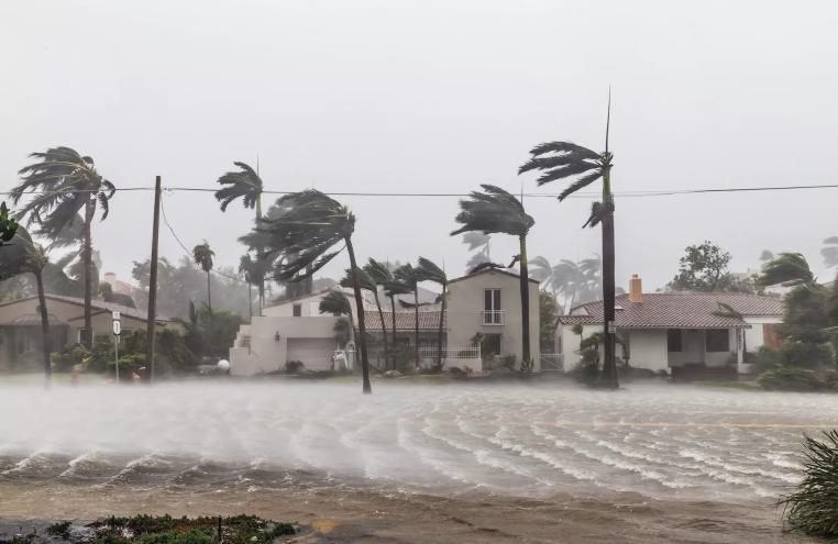 Flooded Las Olas Blvd and Palm trees blowing in the winds amid Hurricane Irma on September 10, 2017