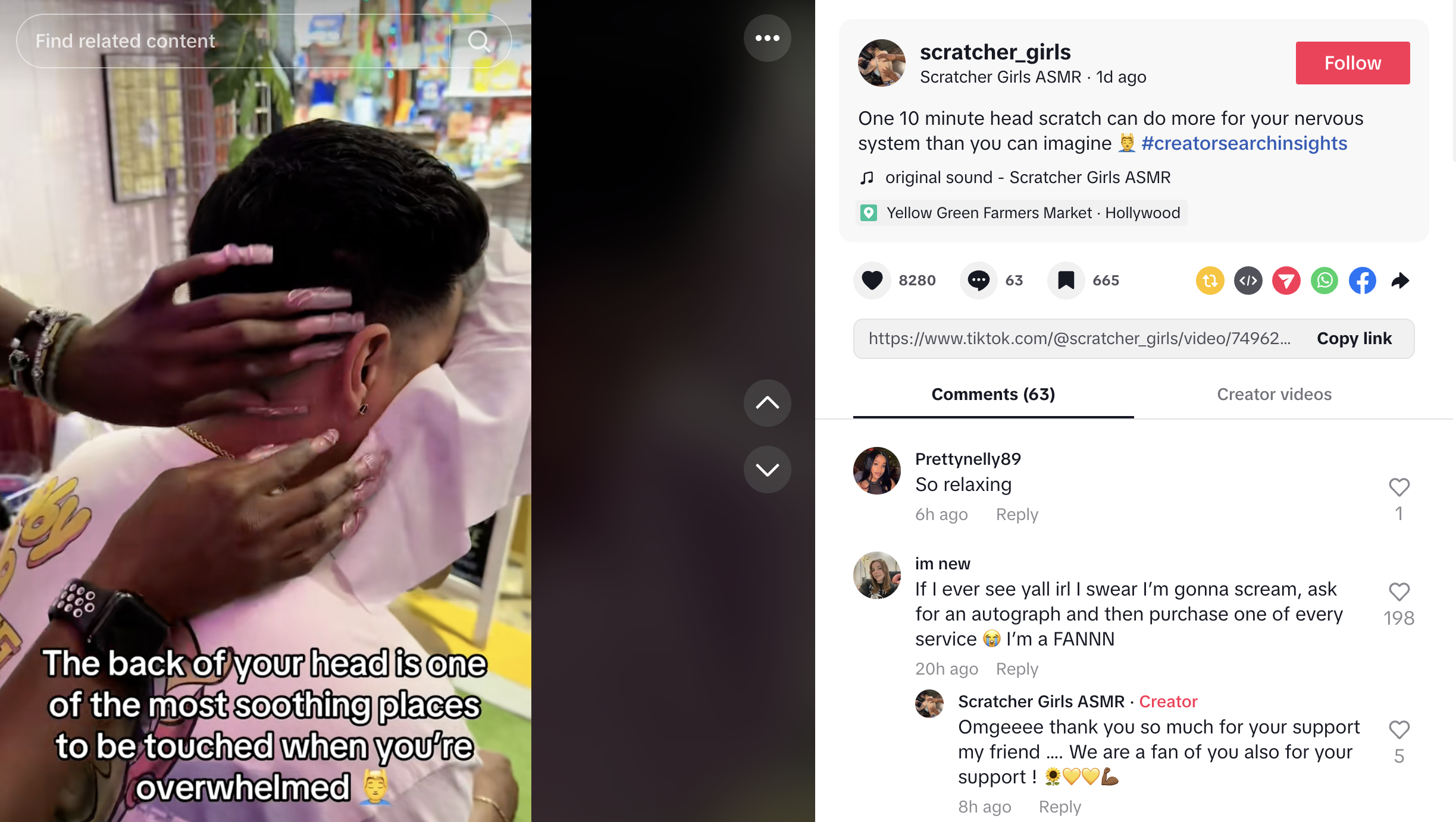 Screenshot of a TikTok video by the @scratcher_girls