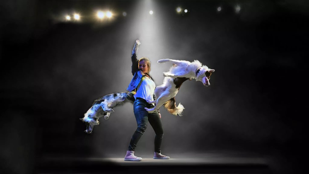 Mutts Gone Nuts – Unleashed!