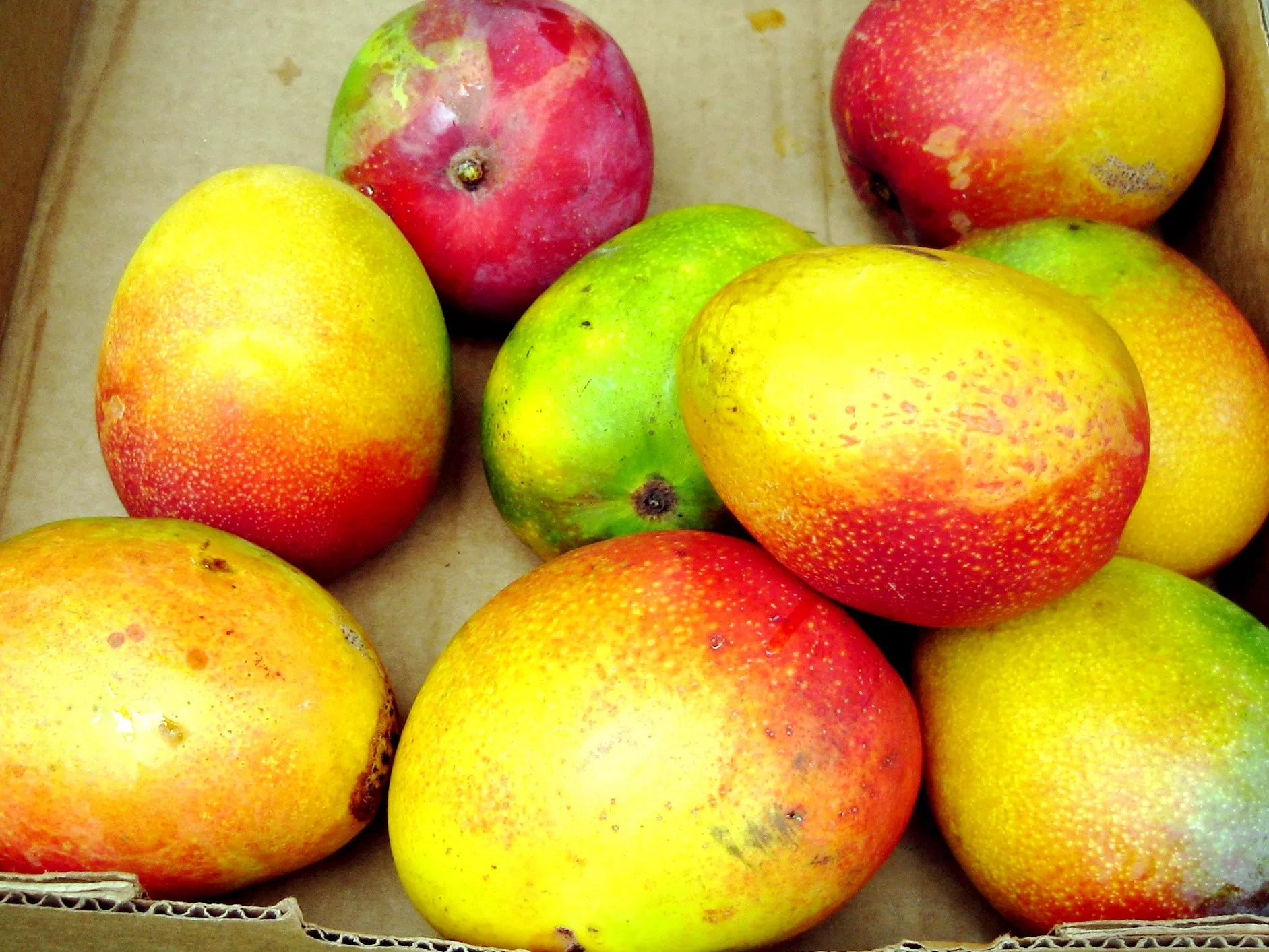 Several mangos sit in a pile.