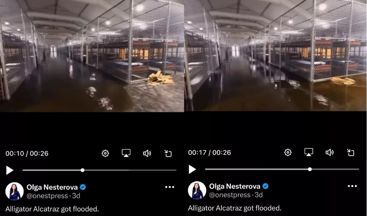 Screenshots of Olga Nesterova's post on X (formerly Twitter) with the likely AI-generated video of Alligator Alcatraz.
